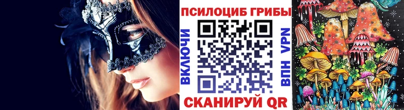 закладка Ладушкин Галлюциногенные грибы Psilocybine cubensis